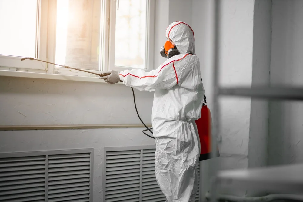 Professional mold remediation services in West Hartford, CT